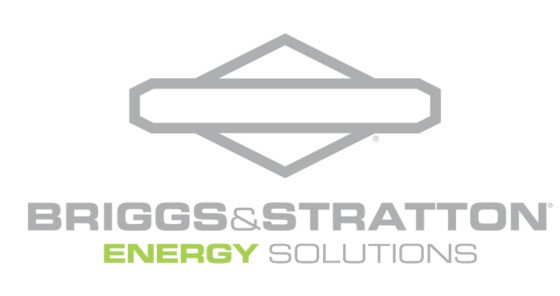 Briggs and Stratton